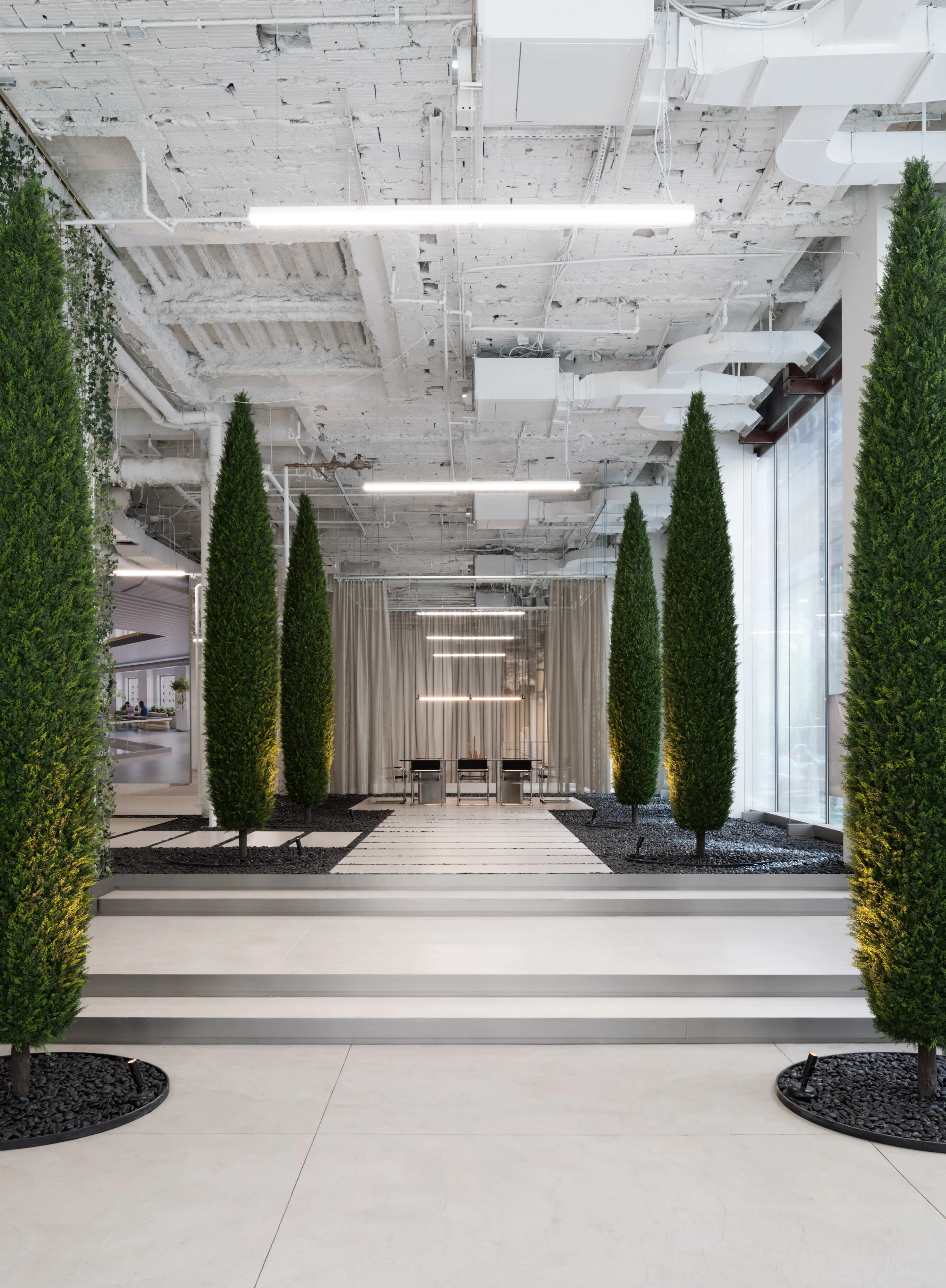 522 5th Avenue planted interior walkway with full-height cypress trees